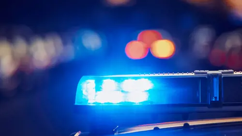 master online criminologia aplicada e investigacion policial