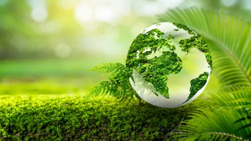 Curso Online Diversidad Medio Geografico Planeta