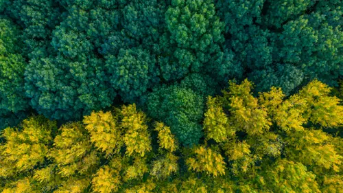 Curso Online Certificado Fotogrametria Aerea Drones