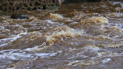 curso online proteccion civil actuacion ante desbordamiento de rios lluvias torrenciales y danas