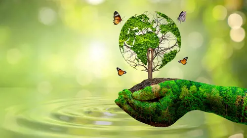 Master Online Gestion Medioambiental Empresa Ceupe
