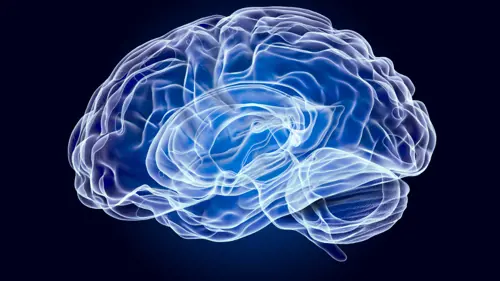 Master Online Neuropedagogia Ambito Educativo Ceupe