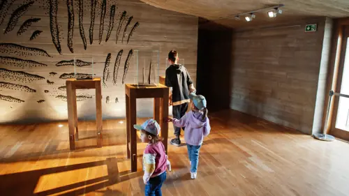 Curso Online Educacion Museo