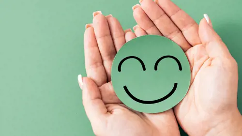 Curso Online Bienestar Desarrollo Emocional Campus Romero
