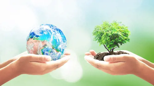 Master Online Gestion Medioambiental Ceupe