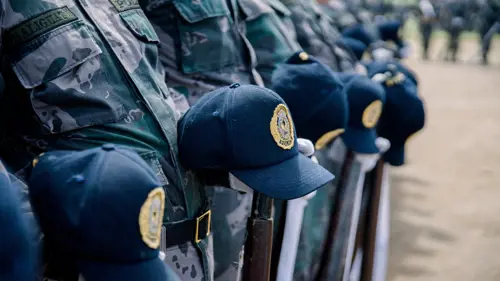 curso online uso fuerza policial perito judicial